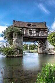 糖心视频app免费下载-手机视频盛宴，揭秘糖心视频app免费下载全攻略